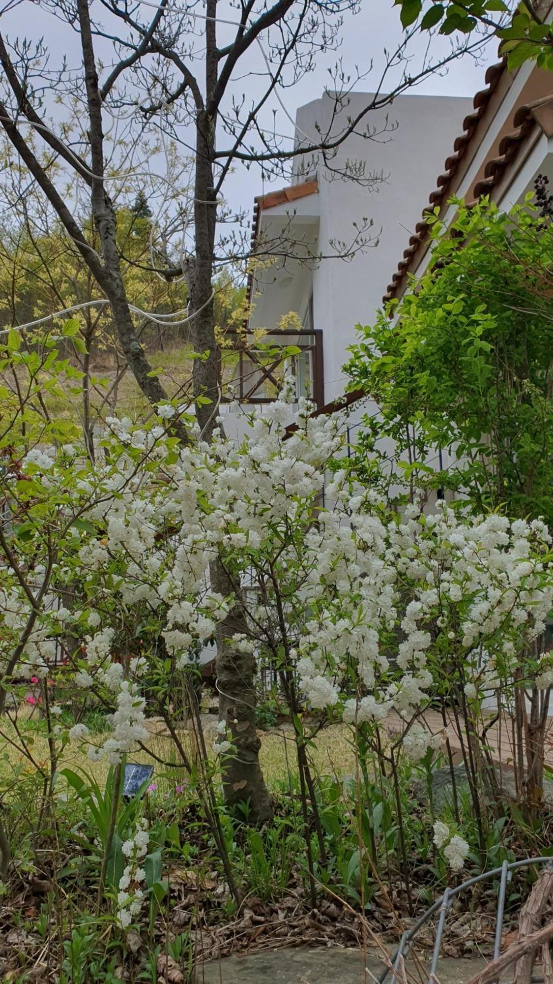 Villa Saint Paul De Vence Damyang Habitación foto