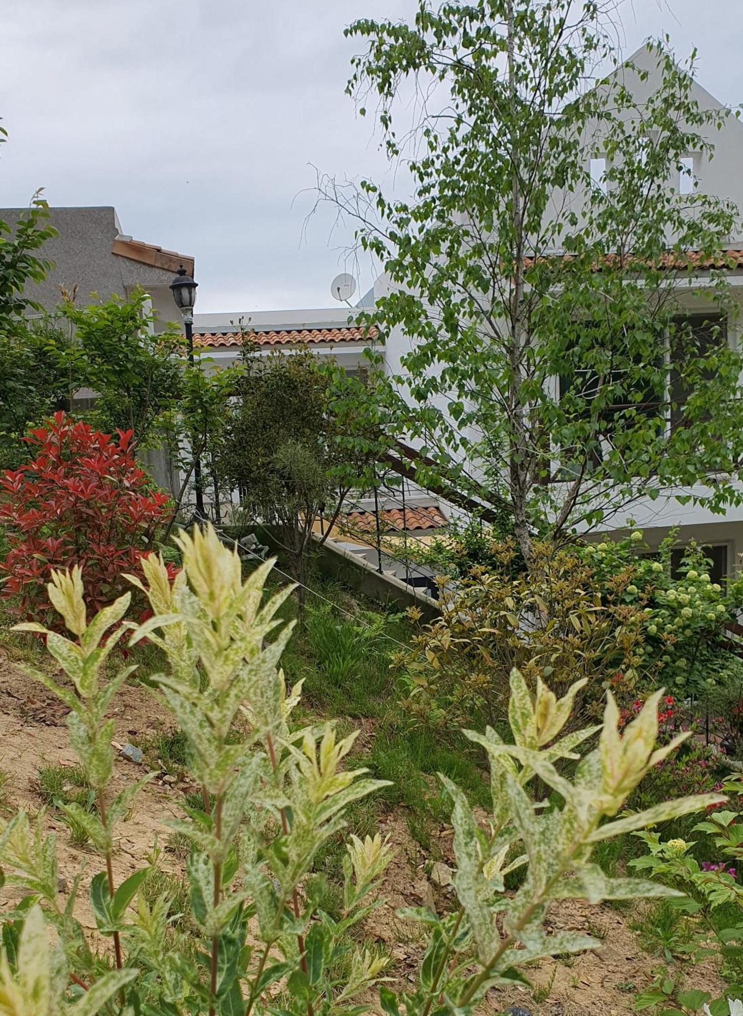 Villa Saint Paul De Vence Damyang Habitación foto